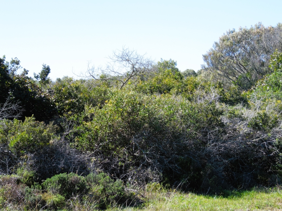 0 Bedroom Property for Sale in Paradise Beach Eastern Cape